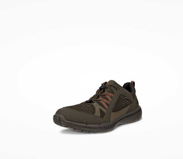 کتانی پیاده‌ روی مردانه اِکو دانمارک مدل ECCO TERRACRUISE II 84306455894 - مناسب طبیعت‌ گردی و استفاده روزانه